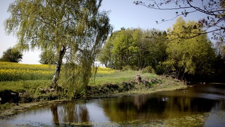 Esben Lunde er klar med fosfor-krav til landbruget