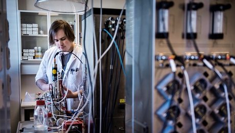 Universiteter: Danske studerende er flittige, fornuftige og fremtidsparate