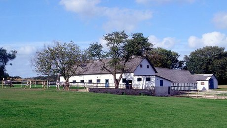 Fra fond til forsker: Forskningsprojekter om patientdata og livskvalitet på landet får midler