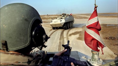 DF: Brug for veteranstyrelse