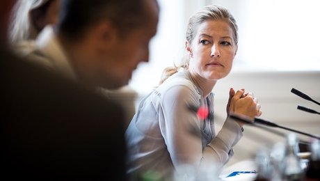 Radikale: DF gør os andre til grin