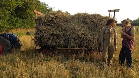 Fra Hogwarts til handlekraft – nye veje for højskolerne i det 21. århundrede