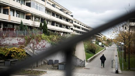 Alternativet: Elendig økonomi er roden til problemerne i "ghettoområder"