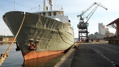 Frygt for ny havnelov og behov for boliger kostede Kolding Havn livet