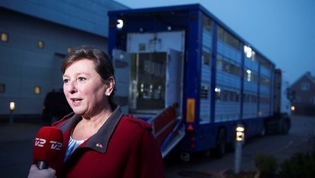 DF forsvarer aftale om dyretransporter: Fuld kontrol ville tvinge landmænd i knæ 