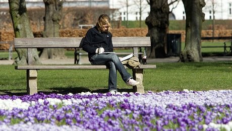 Borgmestre: Københavns unge skal ikke længere kastes rundt i systemet 