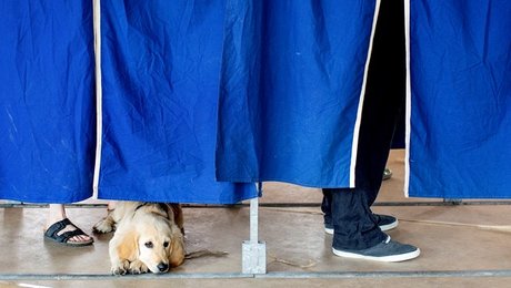 Overblik: Hvad sker der med Danmarks ekstra mandat, hvis briterne bliver i EU? 