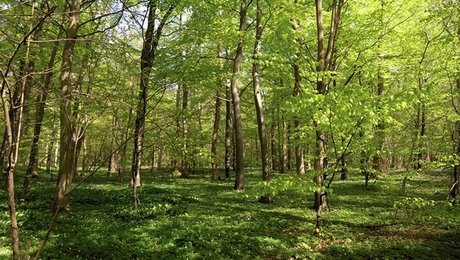 Nye tal: Politisk orientering har ingen betydning for frivilligt engagement