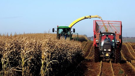 Jægere: Danmark kan få 100.000 hektar natur helt gratis