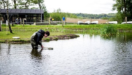 Ingeniør: 30 procent af havområdet skal udlægges til naturbeskyttelsesområder