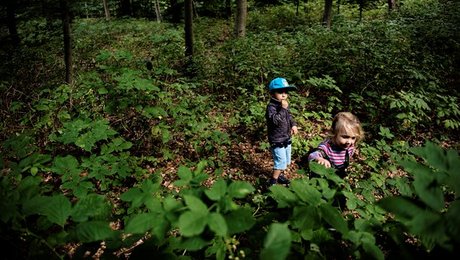 R: Tag penge fra banksektoren og giv dem til daginstitutionerne
