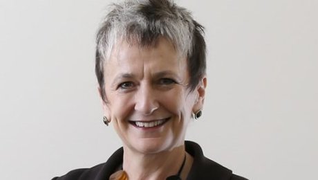 Civilsamfundet i England er splittet: Ses som "en tjener for staten"