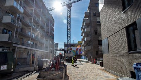 Asfaltindustrien: Planlov-forslag stiller mennesker ringere end landbrugsdyr