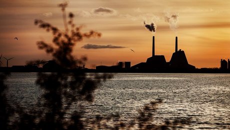 Nyt projekt skal udbrede grøn strøm i fødevareindustrien