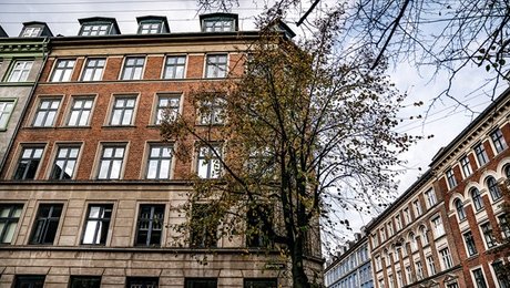 Vismandsrapport: Spekulant-lovændring vil især komme de rigeste til gavn