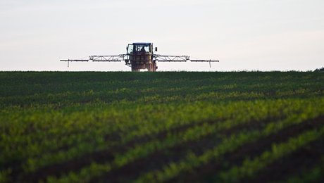 Landbruget kritiserer sprøjteforbud: Det er dyrt og er ikke målrettet god natur
