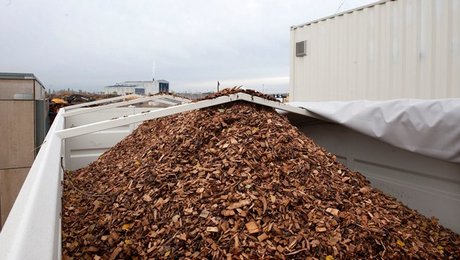 Dan Jørgensen: Regeringen har ikke planer om særlig dansk ordning for biomasse