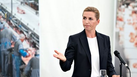 Dagens overblik: Altinget guider dig igennem detaljer, analyser og reaktioner dagen efter Arne-udspil