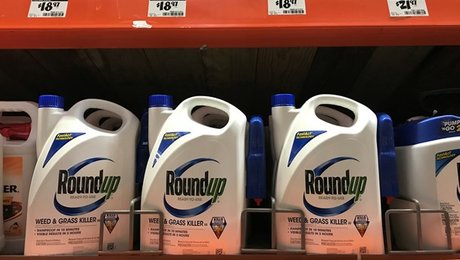 Forskningskonsulent: Her er konsekvenserne ved årtiers forbrug af pesticider