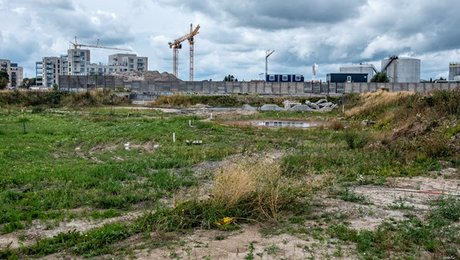 Heino Knudsen: Oprensning efter jordforureninger bliver en varig opgave