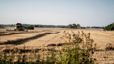 Støttepartier tøver ikke: Klar til at sætte flere penge af til lavbundsjorde