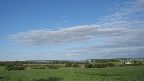 Opråb om jordreform: ”Der er en forbavsende træghed i det politiske system på Christiansborg”