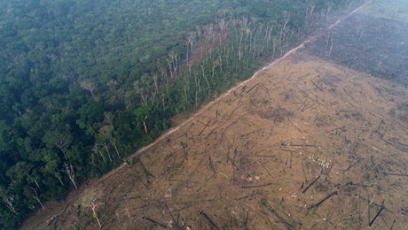 Højskoleelever: EU's handelsaftale med Sydamerika er en katastrofe for klimaet