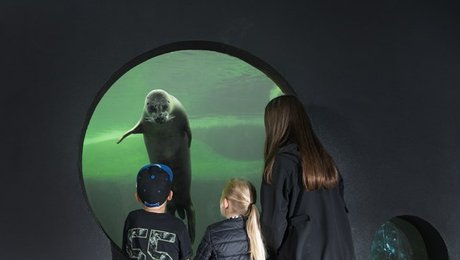 Museumsinspektør: Vores opgave er at overlevere til eftertiden – ikke at lefle for samtiden