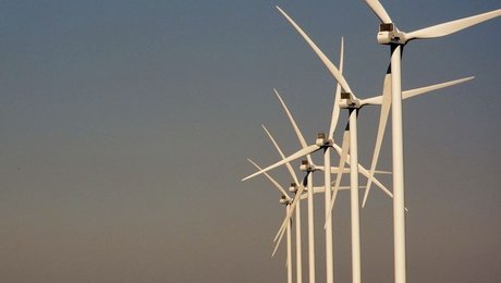 Biolog: Forbyd jagt og fiskeri i fuglebeskyttelsesområder