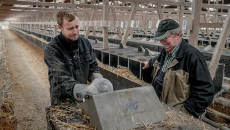 S: Størstedelen af landets minkansatte vil tage imod omstillingsindsats