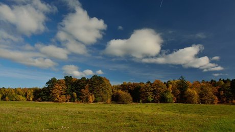 Wermelin håber på mere vild natur i EU-beskyttede områder