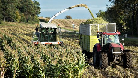 L&F: Vi skal dyrke planter til fødevarer på op til 200.000 hektar mere end i dag