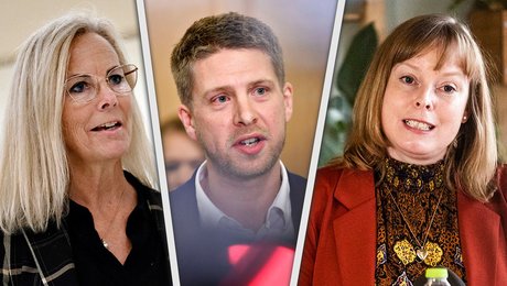 Borgerlige partier vil tvinge regeringen til at indføre bestyrelser på konservatorier og kunstakademi: "Eksemplerne skriger til himlen"