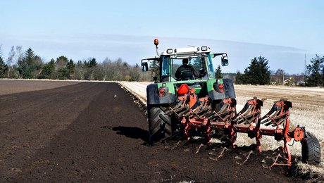 Landmandsforening: Løsningen på landbrugets kvaler er ikke alene udtag af lavbundsjord
