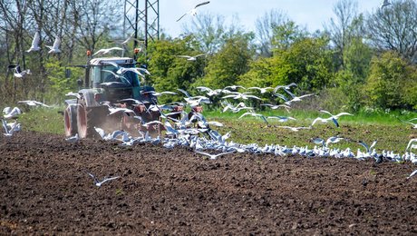 FødevareDanmark: Ungeklimarådet har misforstået bæredygtighedsbegrebet 