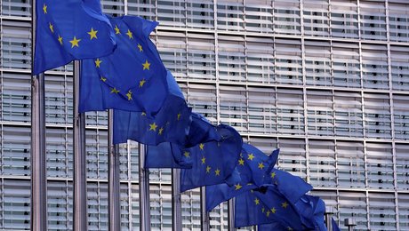 Radikale: Danmarks EU-politik rykker sig ikke ud af stedet