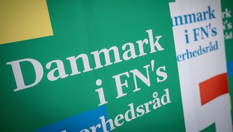 Tidligere FN-ansat: Vetoretten i Sikkerhedsrådet har været en hæmsko for fred