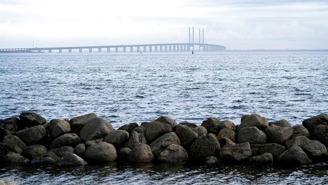 Kommunaldirektør bytter Dragør ud med Albertslund