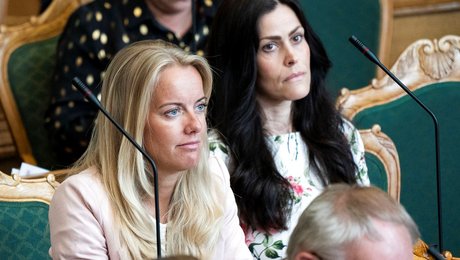 Nye Borgerliges politik er katastrofal og tiltrængt på samme tid