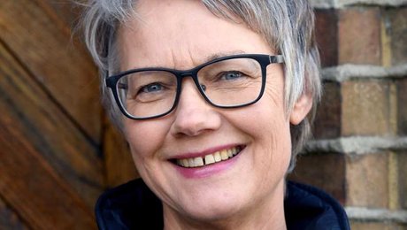 Forening for bygnings- og landskabskultur: Lokalpolitikere er med til at ødelægge kulturmiljøer og landskaber