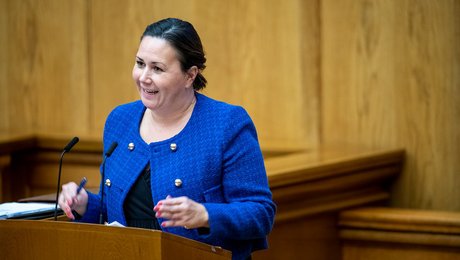 Delfiner, fængsler, grøn omstilling og meget andet på tapetet i åbningsdebat