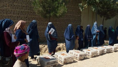 Sikkerhedssituationen er vendt på hovedet for organisationer i Afghanistan 