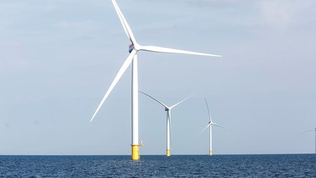 Danmarks Jægerforbund: Udpeg  Omø Stålgrunde til naturreservat og prioriter biodiversiteten