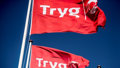 Forsikringsforbundet: Solo-selvstændige amputerer den danske flexicuritymodel