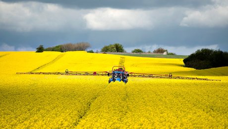 Økologisk Landsforening: Nu skal kvælstofregningen betales for årtiers politisk ansvarsløshed