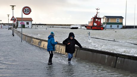 Forsikring & Pension: Der er brug for klimatilpasning, men forsikringen skal ikke betale
