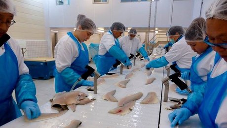 Royal Greenlands topchef stopper efter 11 år