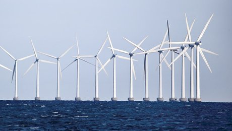 Grønt overblik: Det skal du holde øje med i denne uge