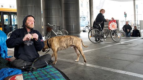 Ny temadebat: Har det sociale frikort vist sit værd?