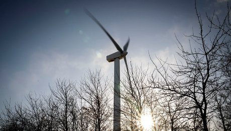 Ny måling viser grøn skillelinje i dansk politik: ”Rigtig mange er ikke villige til at ofre natur for klimaets skyld”